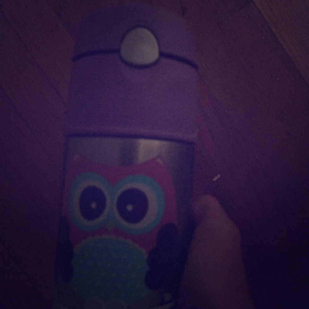 Cute owl thermos cup